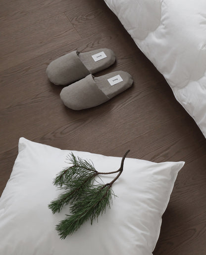 Slippers, clay